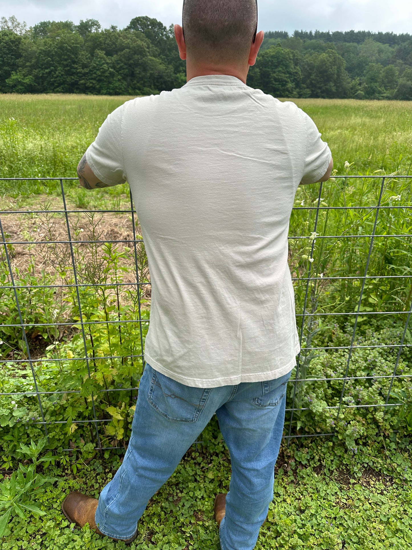 The Men’s All American T Shirt in Tin Cup